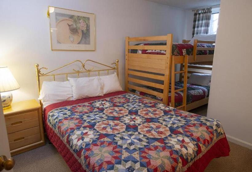 استراحتگاه Winterplace On Okemo Mountain