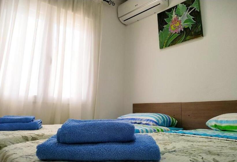 Golden Tower Pensión Auto Check In