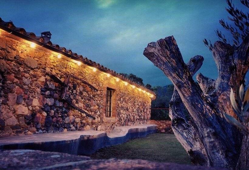 Отель Masia Can Bachs