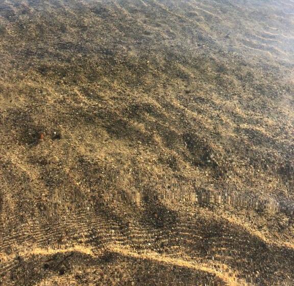 مسافرخانه Gela