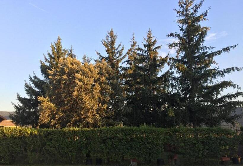 פנסיון Casa Campo