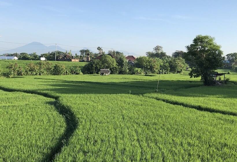 بنسيون Derose Guest House