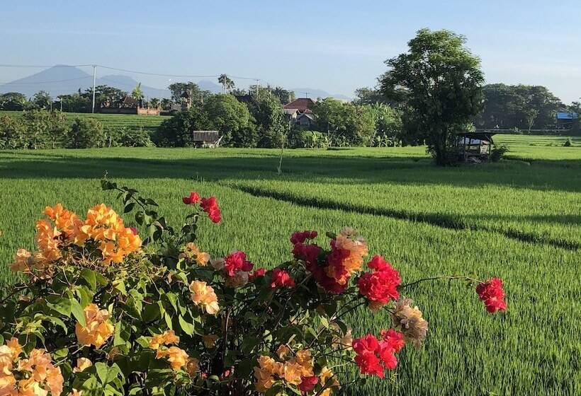 بنسيون Derose Guest House