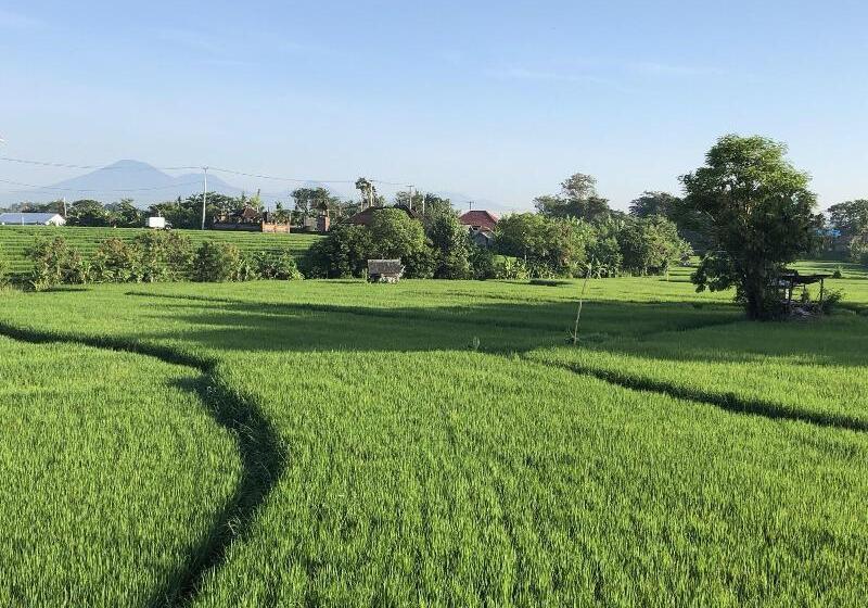 بنسيون Derose Guest House