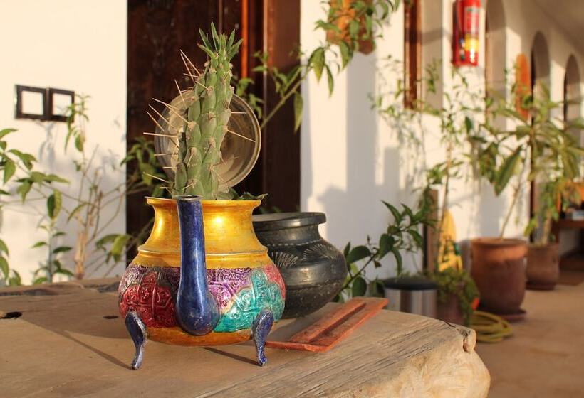 פנסיון Maison Darna Guesthouse