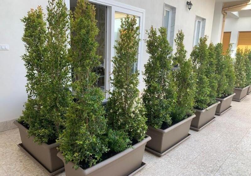 Пансион Thalya Luxury Rooms