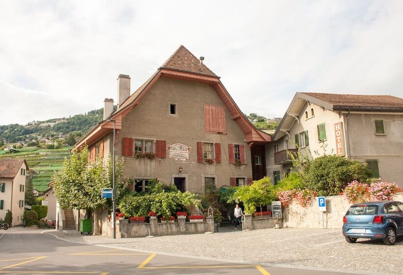 Herberge De La Place