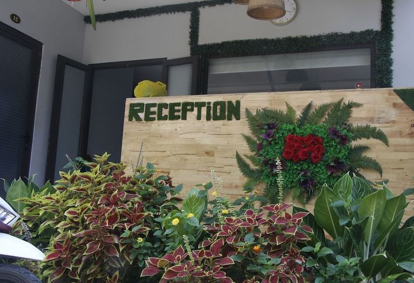 هاستل Pineapple