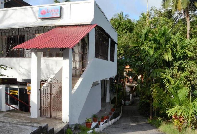 ベッドアンドブレックファースト The Lotus Home