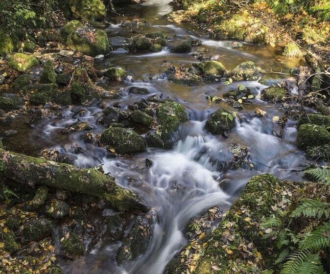 Dollar Apartments At 39