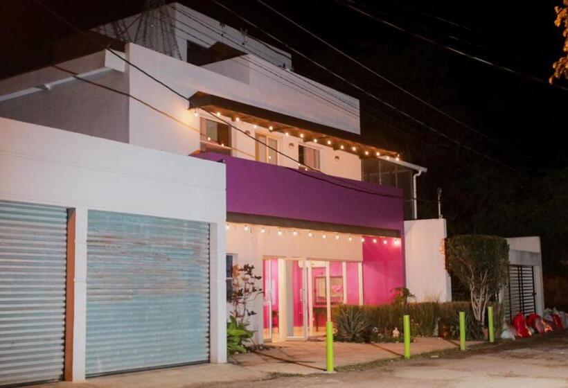 酒店 Airport Inn Managua