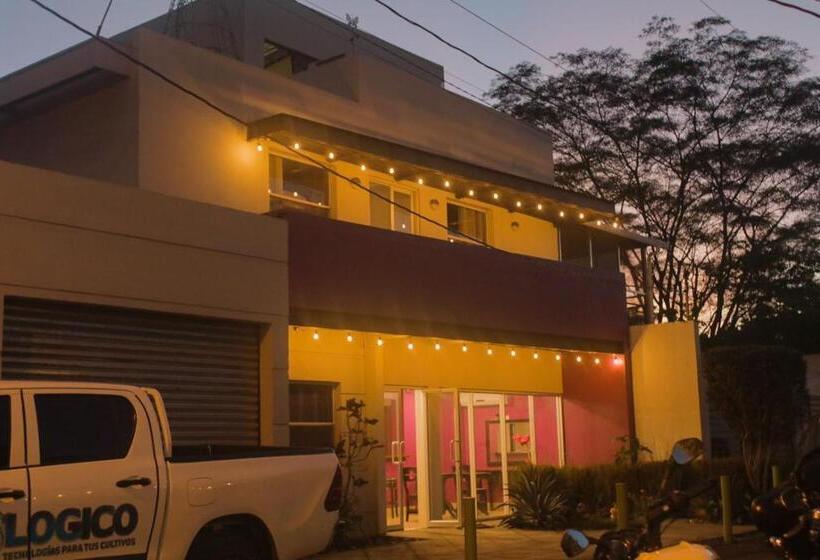 酒店 Airport Inn Managua