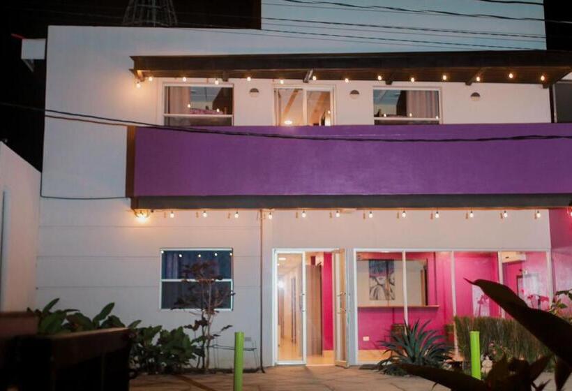 酒店 Airport Inn Managua