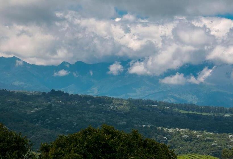 Casa Hotel El Compadre