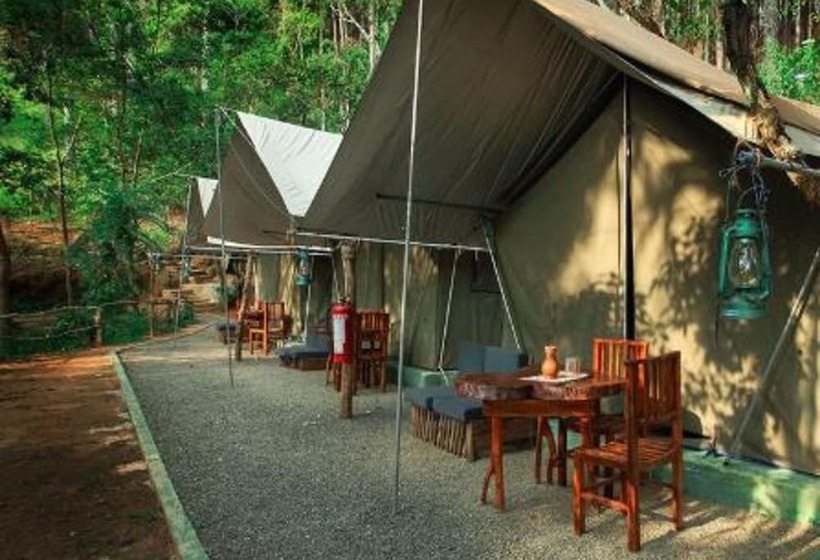 호텔 Misty Elegance  Ella