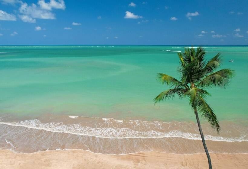 호텔 Pousada Rota Ecologica