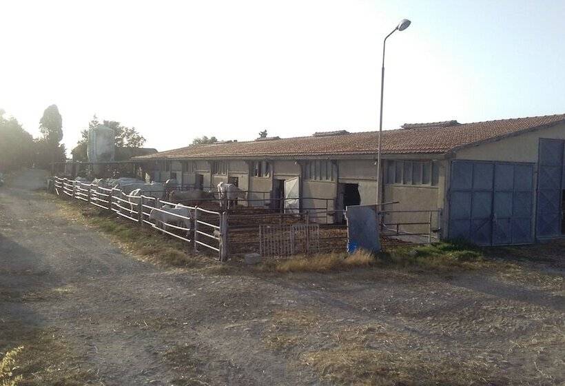 בית מלון כפרי Agriturismo I Greppioli