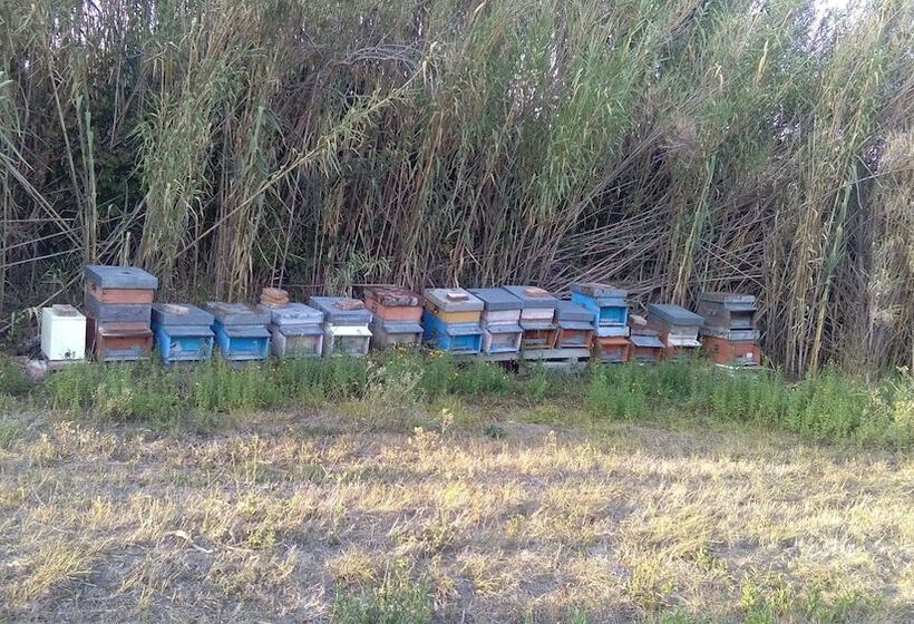 בית מלון כפרי Agriturismo I Greppioli