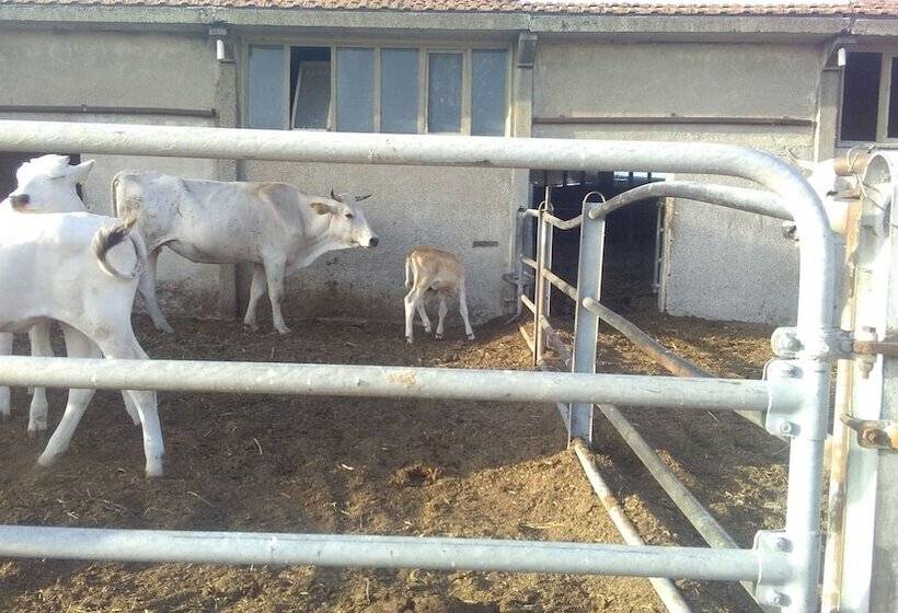 בית מלון כפרי Agriturismo I Greppioli