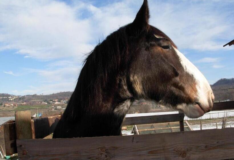 בית מלון כפרי Agriturismo Tra Serra E Lago