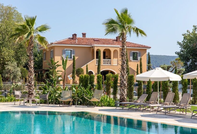 Zigo S Hotel Special Class