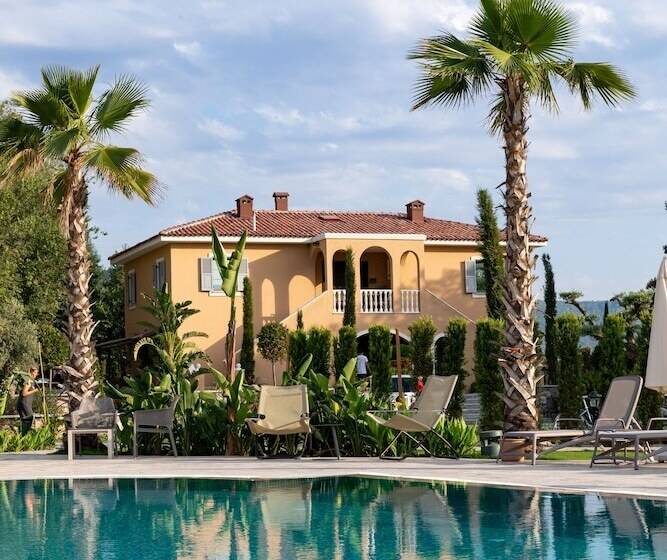 Zigo S Hotel Special Class