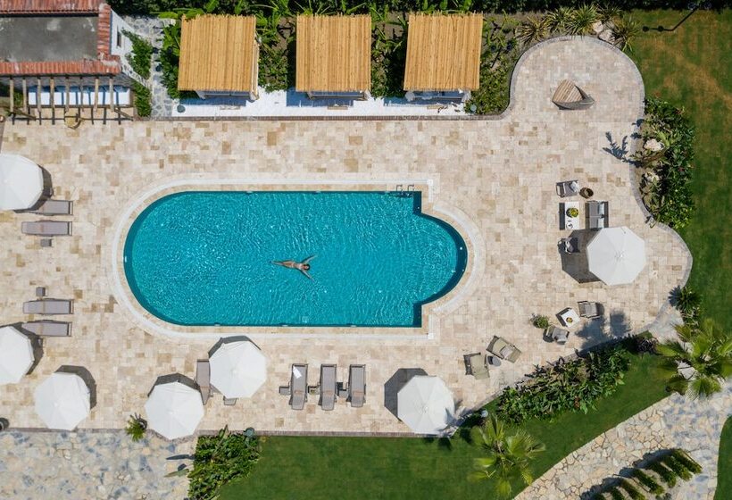 Zigo S Hotel Special Class