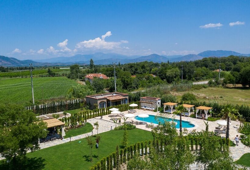 Zigo S Hotel Special Class