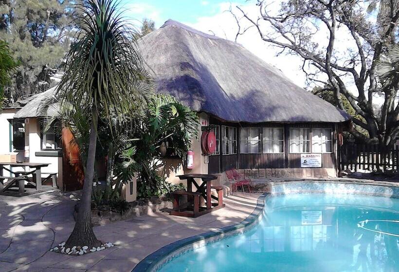 פנסיון Eleventh Avenue Guesthouse & Conferencing