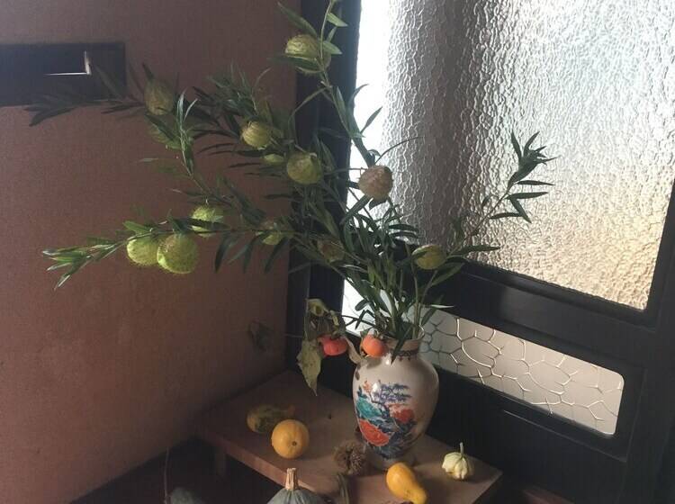 פנסיון Kominka Guesthouse Sudomari Tonami