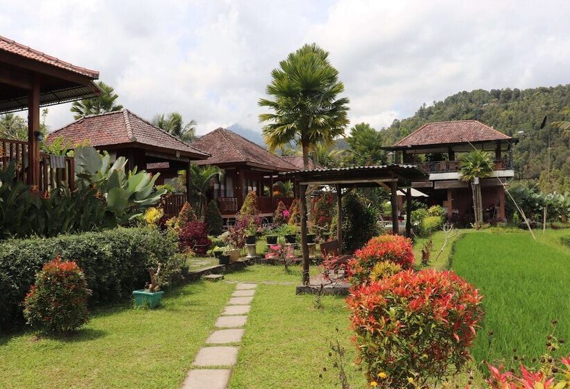 פנסיון Villa Sande