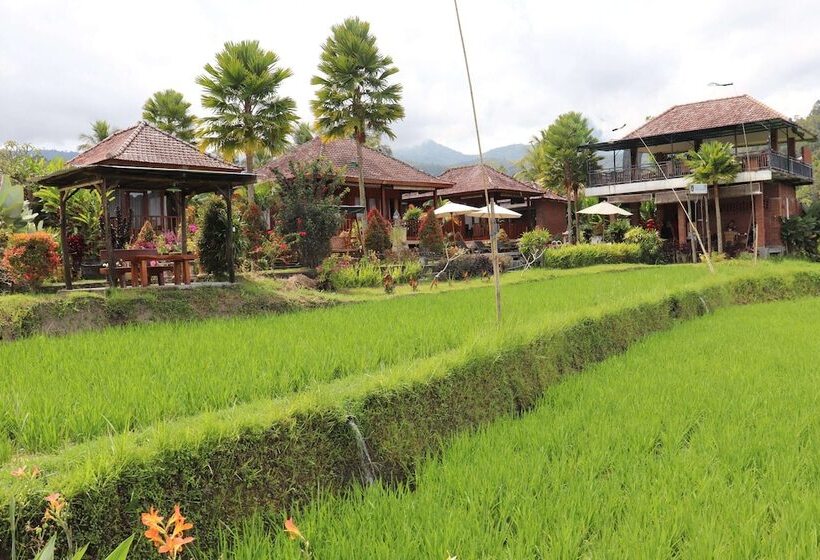 פנסיון Villa Sande