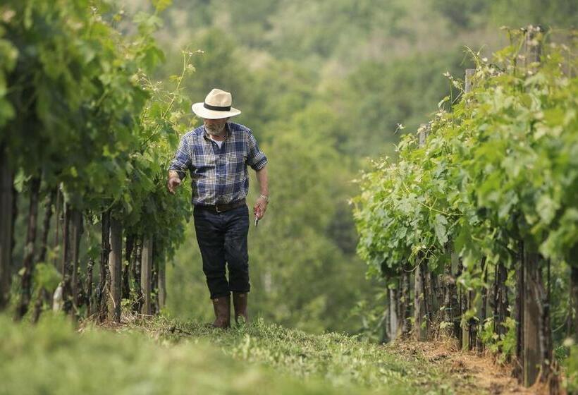 Agriturismo Il Belvedere