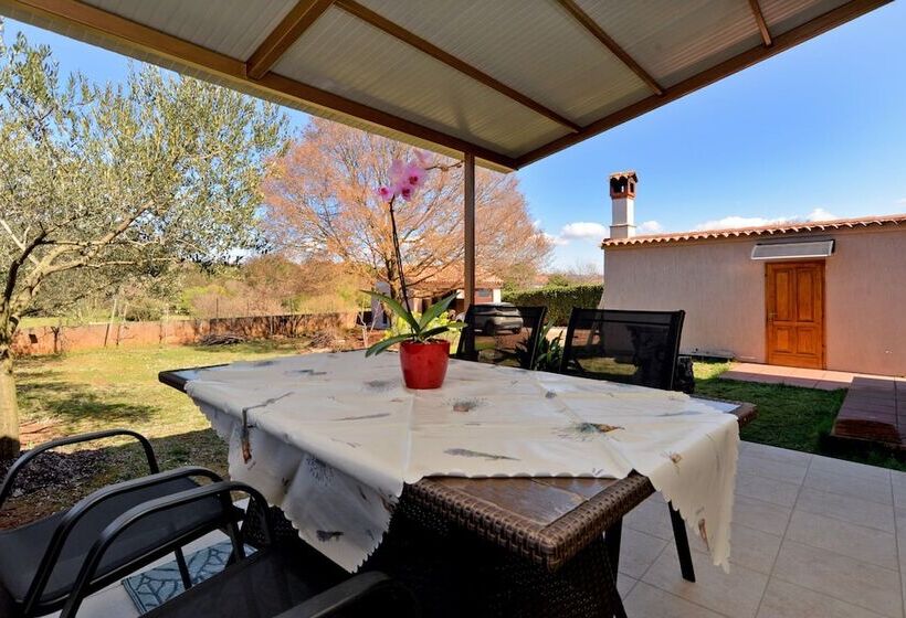 Apartments Voltica 1049