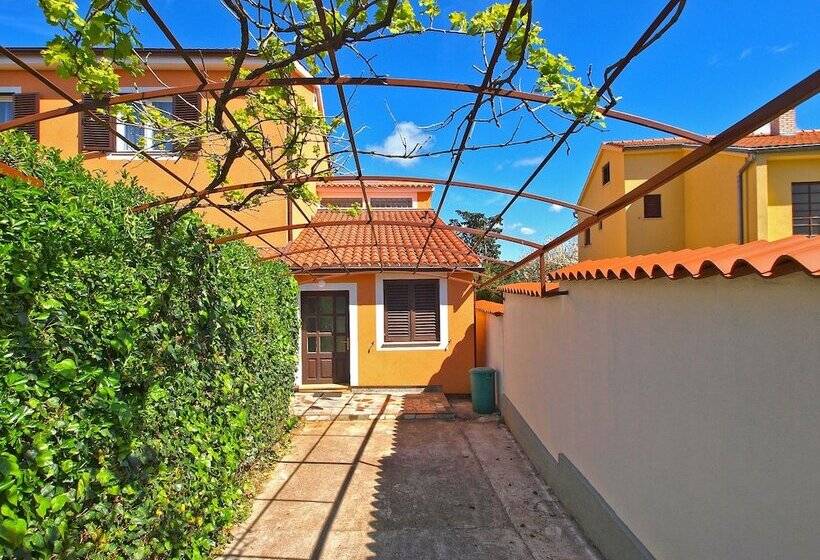 Apartments Dragan 1077