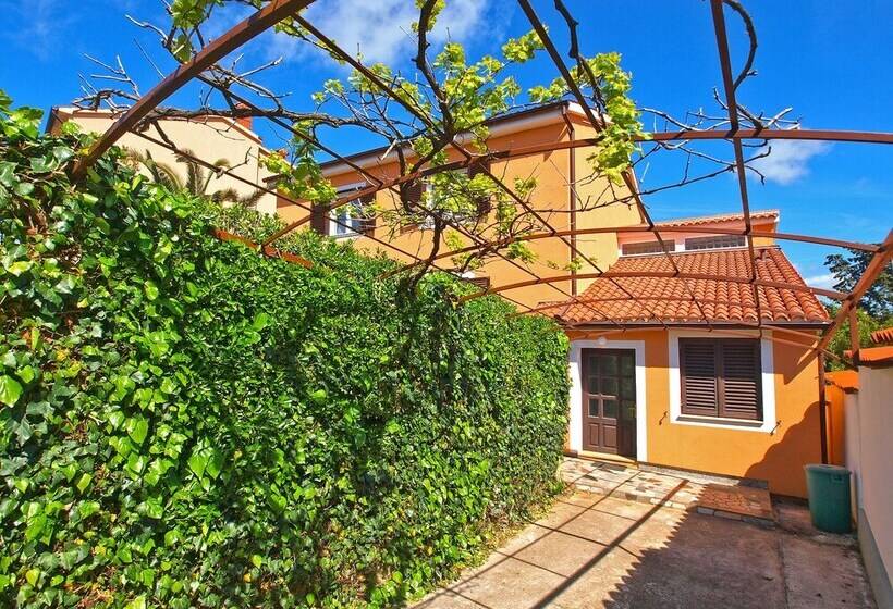 Apartments Dragan 1077