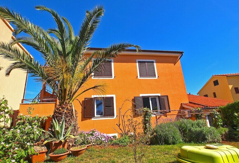 Apartments Dragan 1077