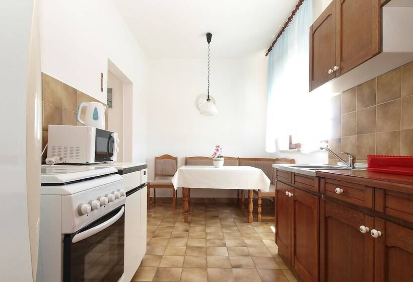 Apartment Dragana 1490
