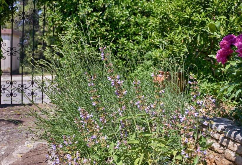 Apartment Vesna 1642