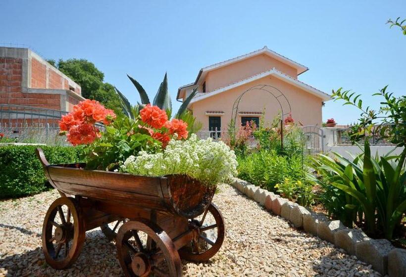 Apartments And Room Zinka