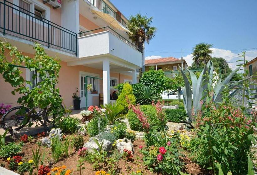 Apartments And Room Zinka