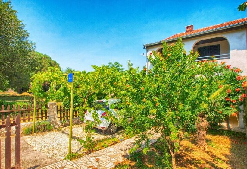 Apartments Zlatko 1397