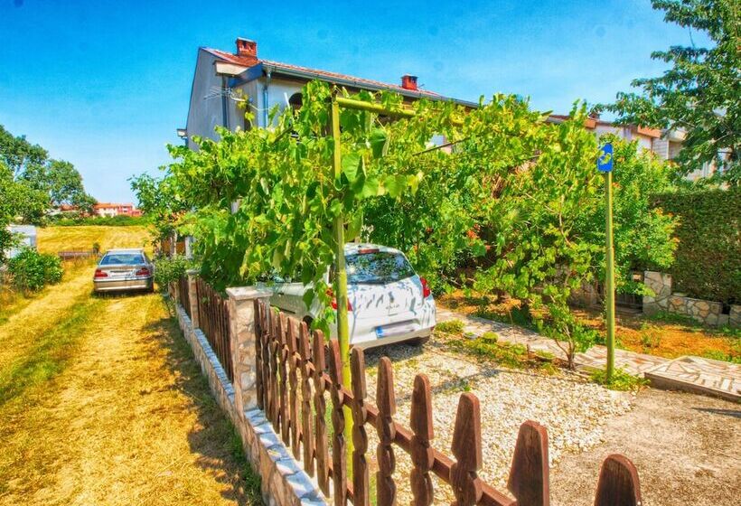 Apartments Zlatko 1397