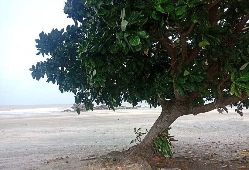 פנסיון Gosh Desaru Bed Space