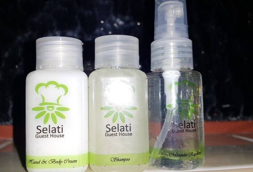 פנסיון Selati Guest House