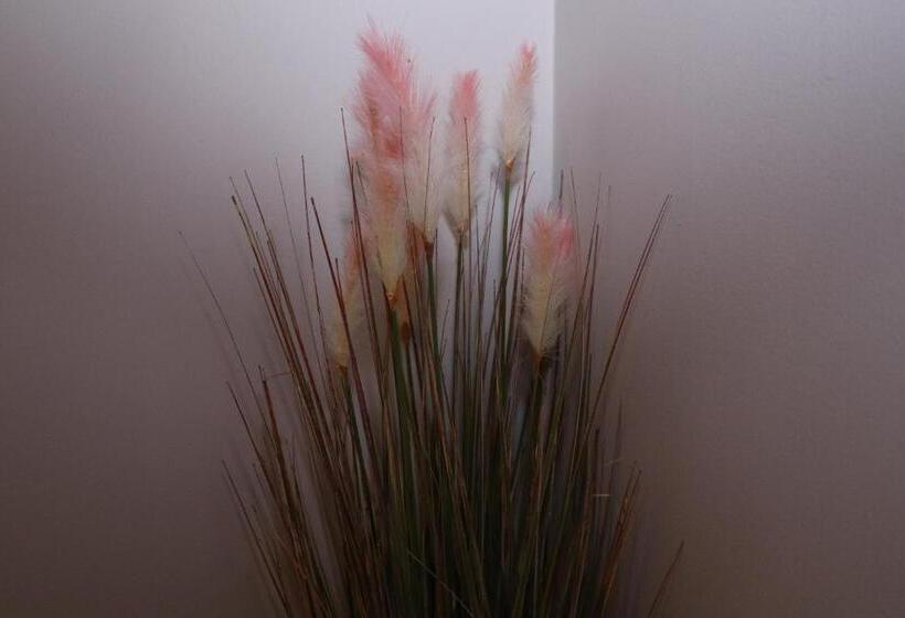 פנסיון The Lavenders