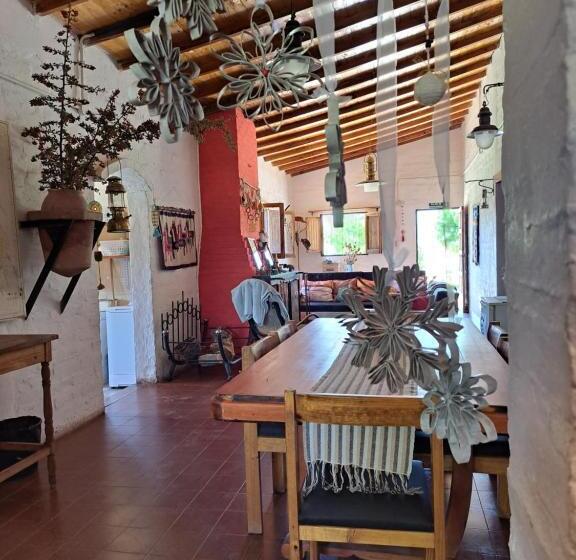 Aire De Barreal Hostel Andino