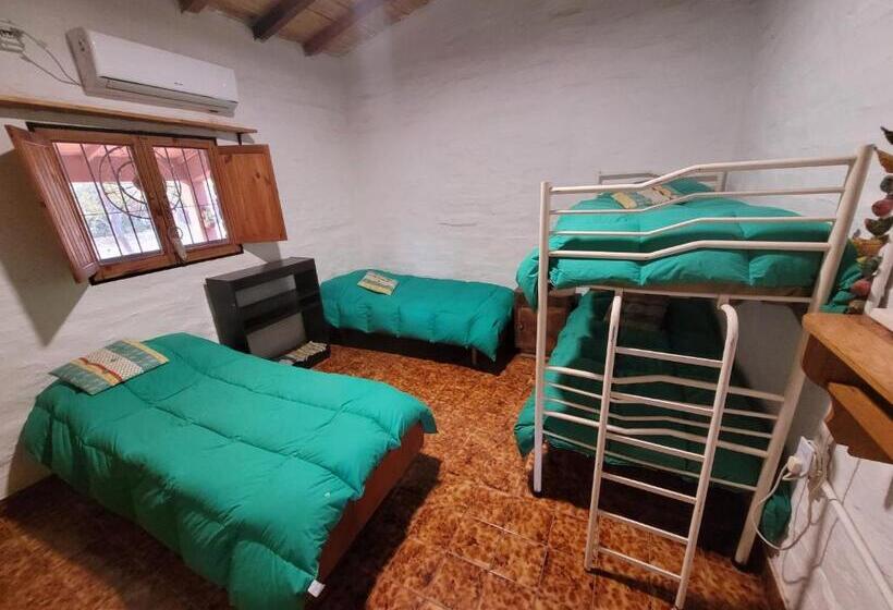 Aire De Barreal Hostel Andino