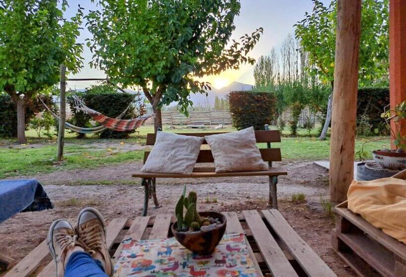 Aire De Barreal Hostel Andino