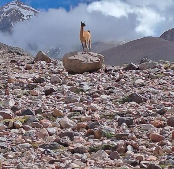 Aire De Barreal Hostel Andino